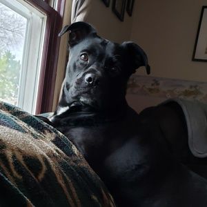 Meet your Posher, Tammy